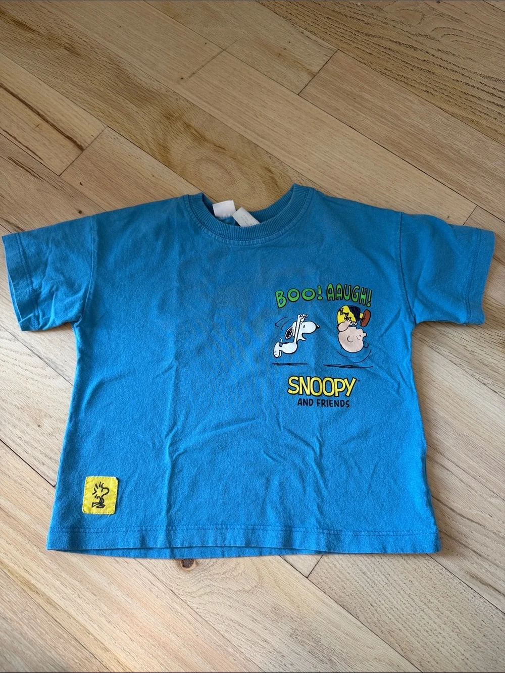 Zara Blue Snoopy Graphic Tee with Cream Striped Shorts